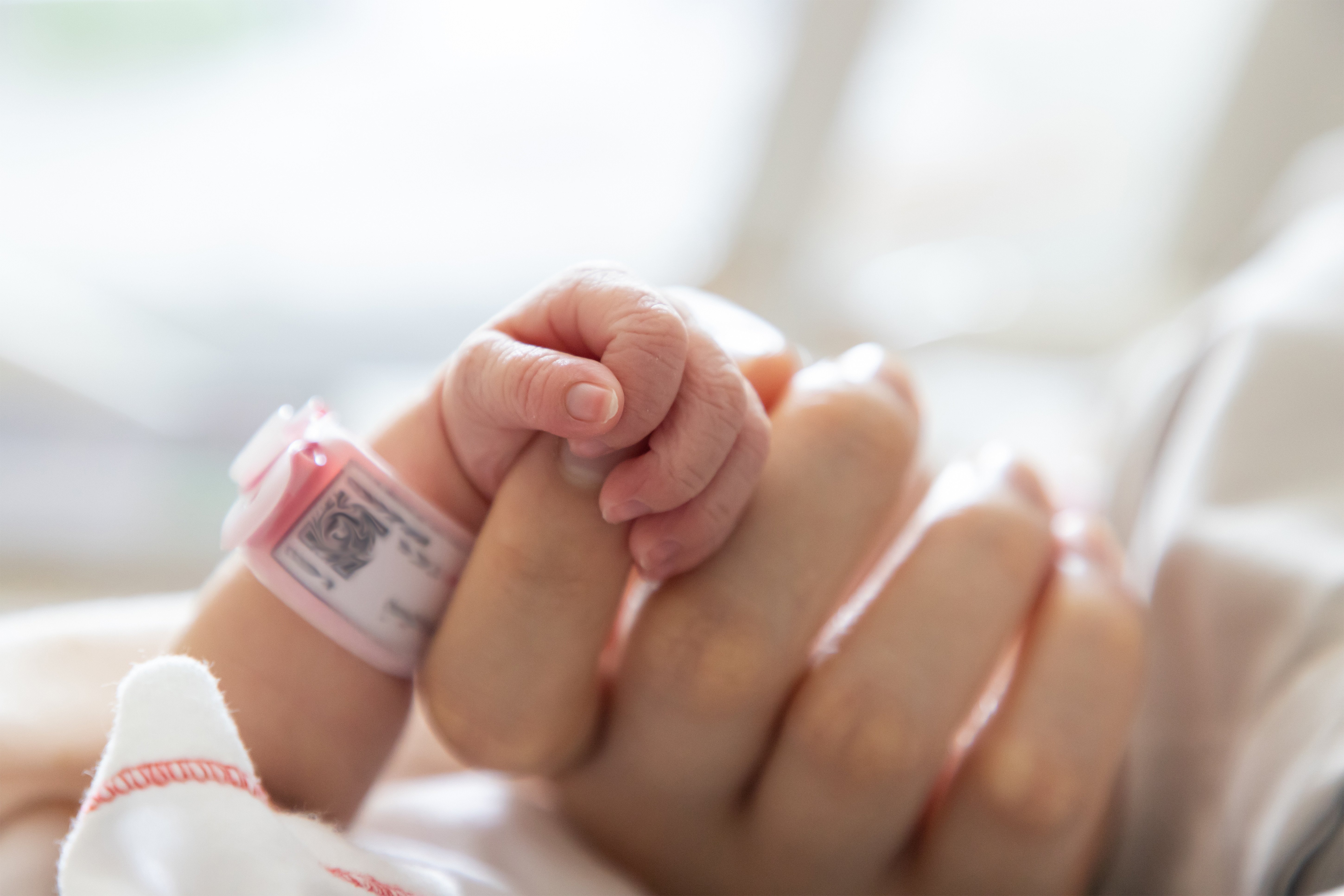 Premature Baby Retinopathy of Prematurity